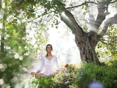 Yoga and Ayurveda Tour